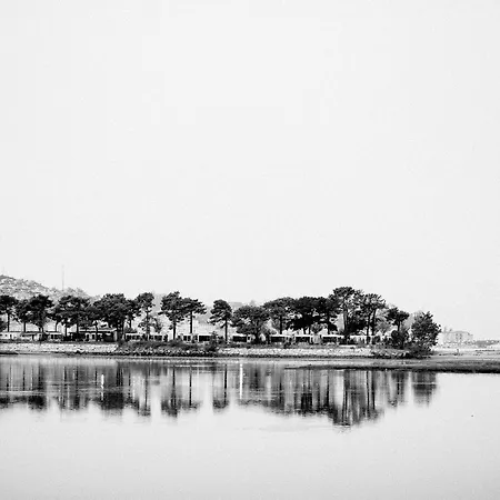 Arce فندق بايونا