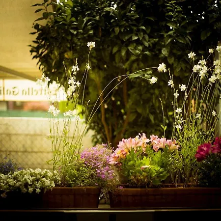 Hotel Arce